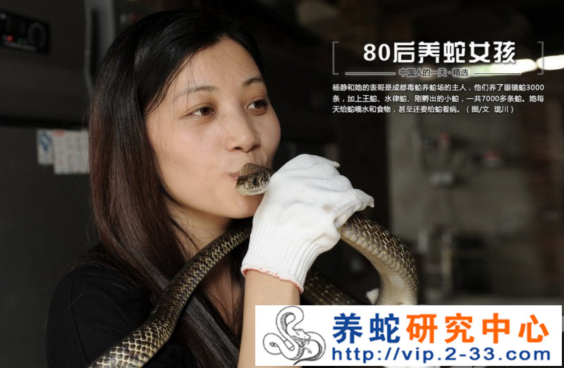 中国养蛇人