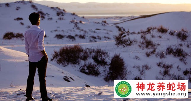 神龙养蛇场,演员陈坤,宣传片拍摄