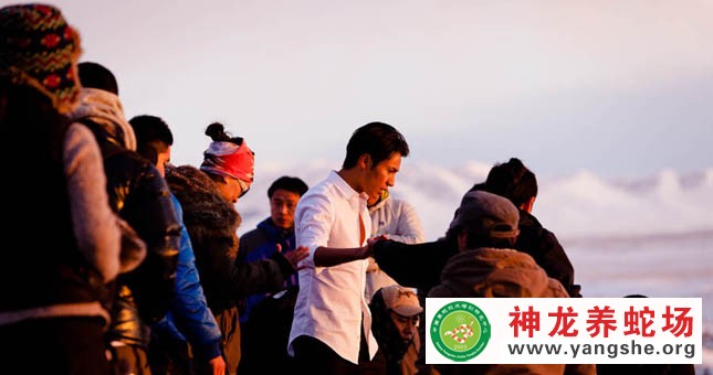 神龙养蛇场,演员陈坤,宣传片拍摄