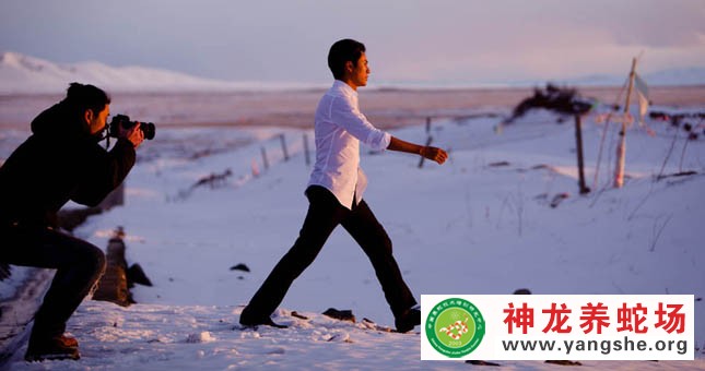神龙养蛇场,演员陈坤,宣传片拍摄