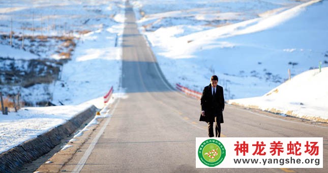 神龙养蛇场,演员陈坤,宣传片拍摄