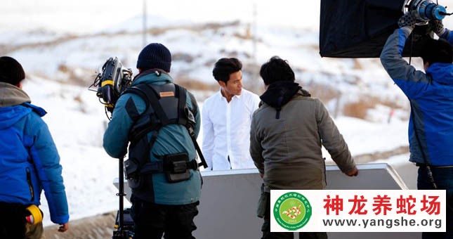 神龙养蛇场,演员陈坤,宣传片拍摄