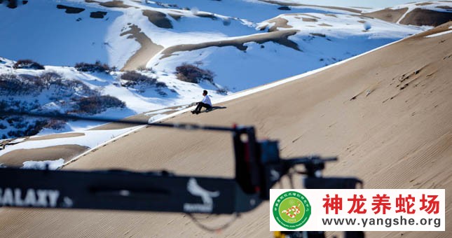 神龙养蛇场,演员陈坤,宣传片拍摄