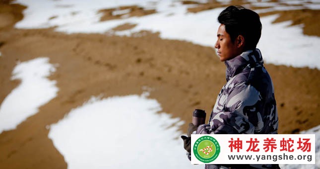 神龙养蛇场,演员陈坤,宣传片拍摄