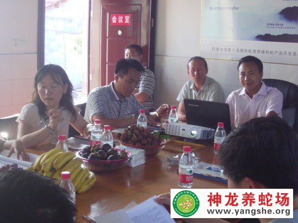 何国昌作养蛇工作汇报