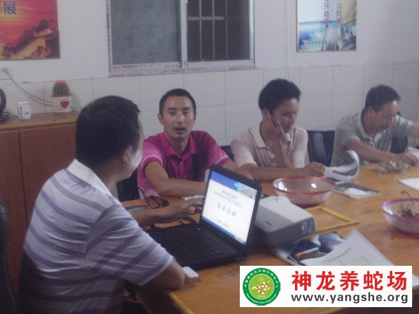养蛇技术培训现场视频