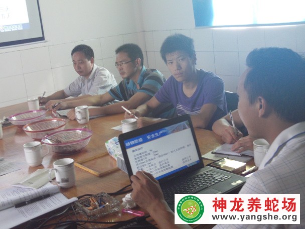 养蛇技术培训现场视频
