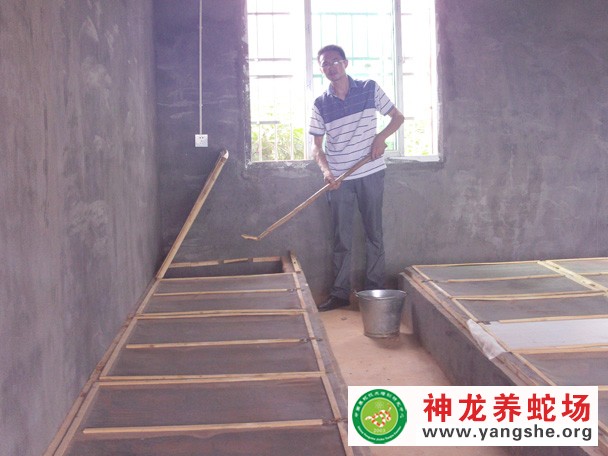 养蛇技术培训现场视频