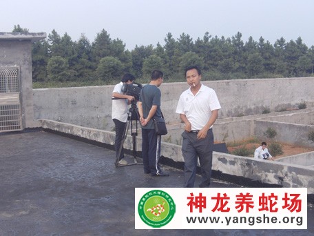 中央电视台七套农广天地采访神龙养蛇场分场