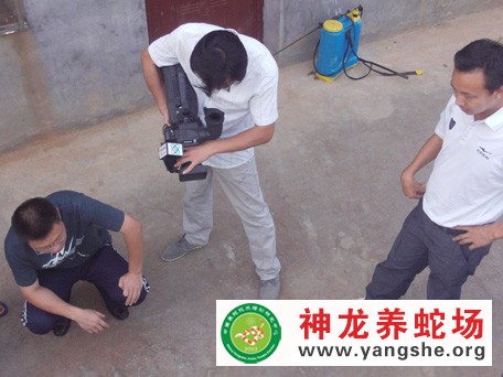 中央电视台七套农广天地采访神龙养蛇场分场