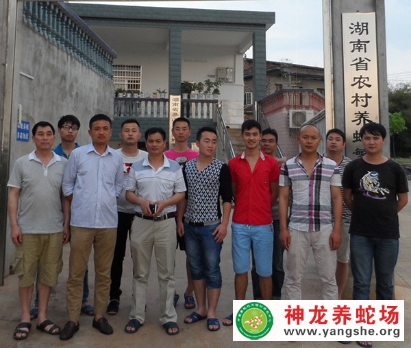 神龙养蛇技术培训视频