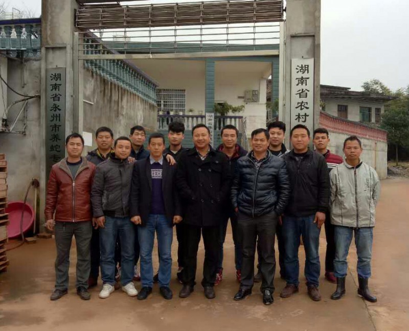 中国最大的养蛇基地