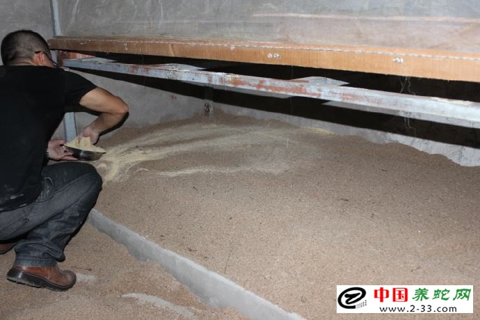 发酵床养蛇技术视频