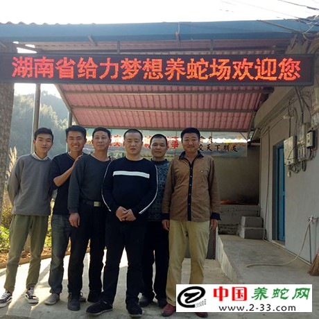大王蛇养殖场