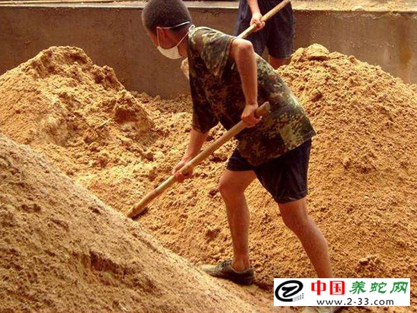  发酵床养蛇菌种