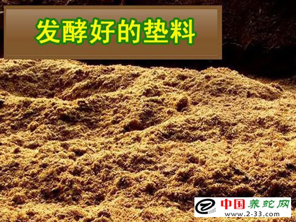  发酵床养蛇菌种