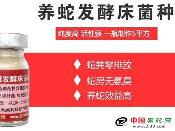  发酵床养蛇菌种